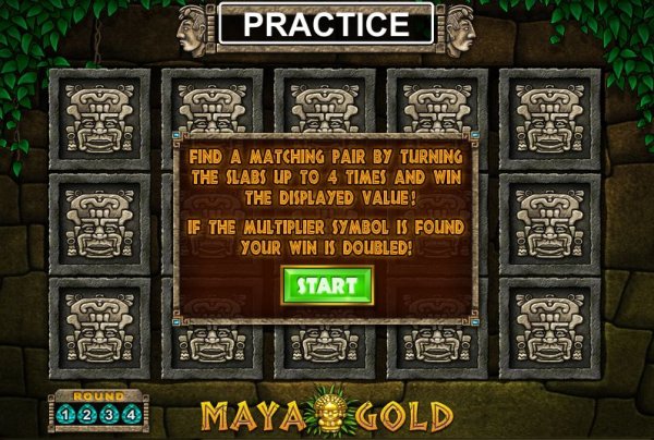 Screenshot from the game Amazon Wild 